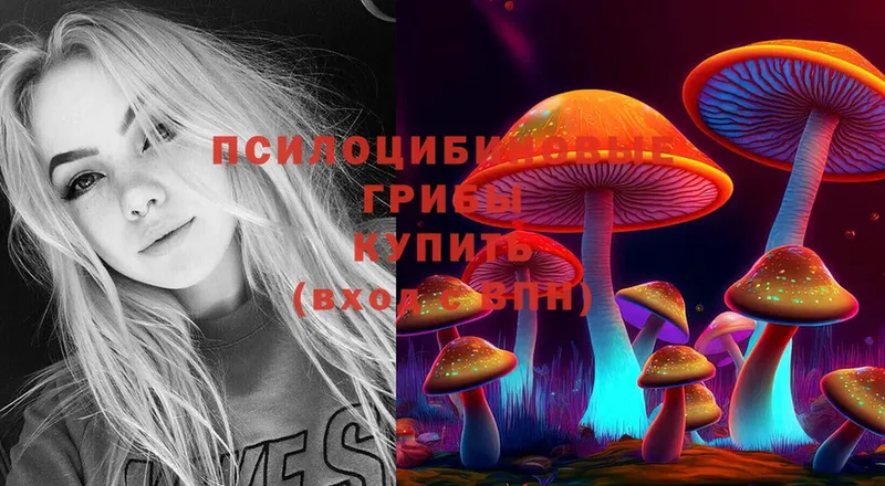 Псилоцибиновые грибы Psilocybine cubensis  Городовиковск 